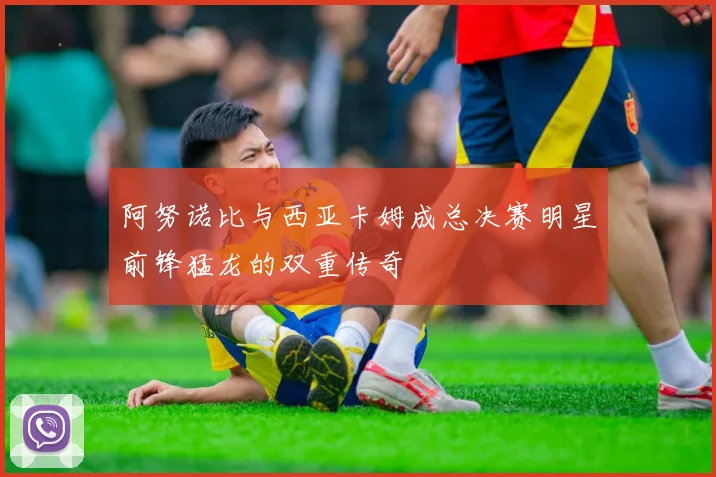 阿努诺比与西亚卡姆成总决赛明星前锋猛龙的双重传奇